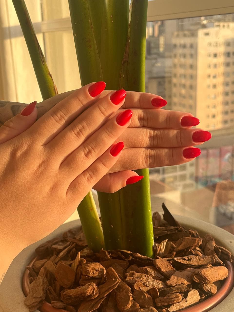 Detalhe de manicure finalizada no Estudio Yve